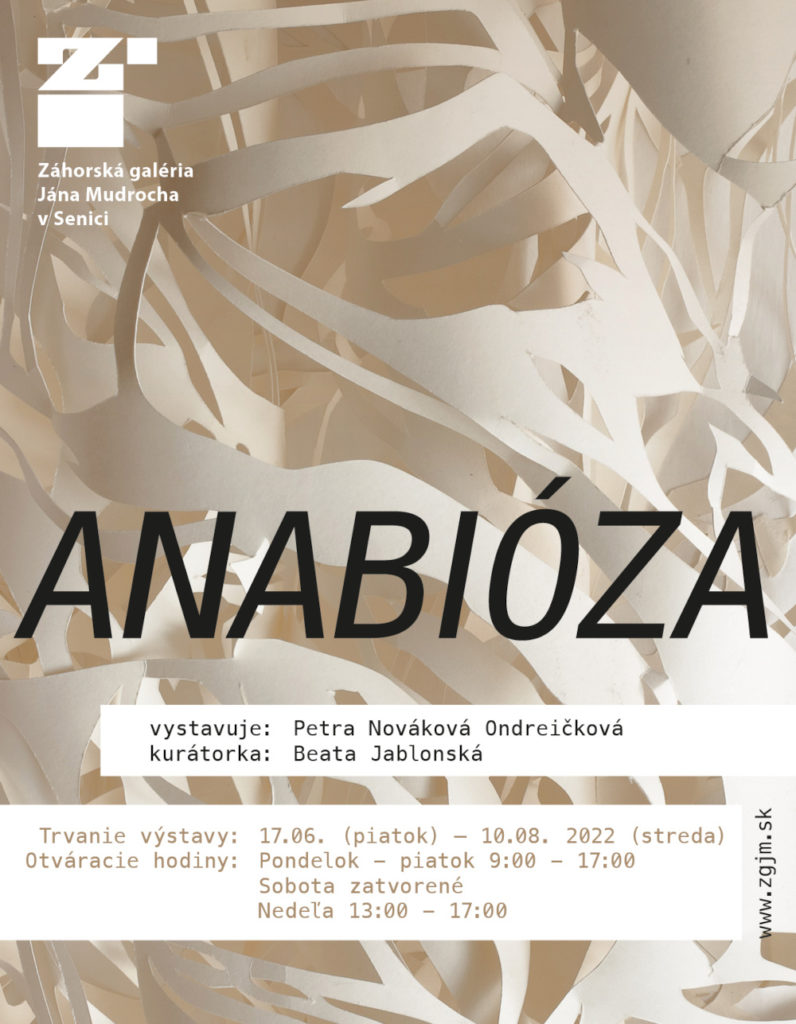 Výstava Anabióza, vystavuje Petra Nováková Ondreičková