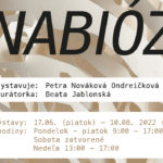 Výstava Anabióza, vystavuje Petra Nováková Ondreičková